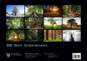 Bäume - Symbole des Lebens 2022 - Black Edition - Timokrates Kalender, Wandkalender, Bildkalender - DIN A3 (42 x 30 cm)