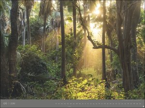 Die letzten Paradiese - Edition Alexander von Humboldt Kalender 2022