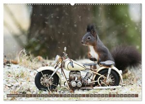 Eichhörnchen - Kleine Fotostars (Wandkalender 2024 DIN A2 quer), CALVENDO Monatskalender