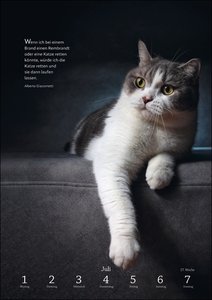 Literaturkalender Katzen Wochen-Kulturkalender 2024. 53 Katzenporträts und katzenverliebte Literaturauszüge in einem Wochenkalender 2024. Dekorativer Kalender für Katzenliebhaber