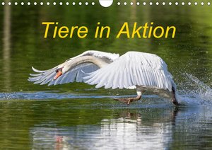Tiere in Aktion (Wandkalender 2021 DIN A4 quer)