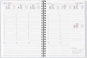 Ladytimer Ringbuch Statement 2025 - Taschen-Kalender A5 (15x21 cm) - Schüler-Kalender - Weekly - Ringbindung - 128 Seiten - Alpha Edition
