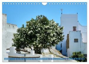Conil de la Frontera - Eindrücke einer Stadt am Atlantik (Wandkalender 2024 DIN A4 quer), CALVENDO Monatskalender