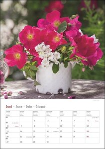 Rosenpracht Kalender 2022