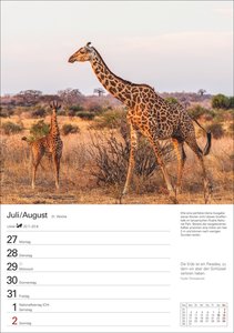 Naturschätze Afrikas Wochenplaner 2026