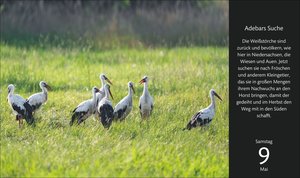 Eine Reise durch Deutschland Premiumkalender 2026