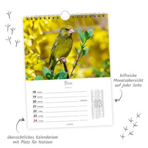 Trötsch Wochenkalender zum Hängen Heimische Vögel 2024