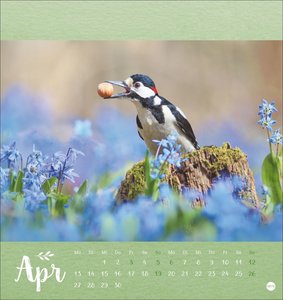 Vadim Trunov: Märchenhaftes Waldleben Postkartenkalender 2026