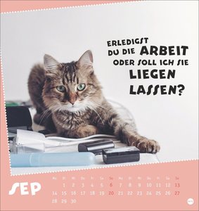 Mach mal Pause Postkartenkalender 2026