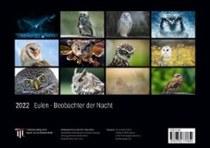 Eulen - Beobachter der Nacht 2022 - Black Edition - Timokrates Kalender, Wandkalender, Bildkalender - DIN A4 (ca. 30 x 21 cm)