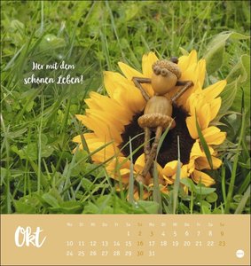 Eichelmännchen Postkartenkalender 2022
