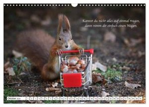 Tipps von Eichhörnchen an Eichhörnchenliebhaber (Wandkalender 2024 DIN A3 quer), CALVENDO Monatskalender