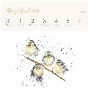 Hannah Dale: Happy Animals Premium-Postkartenkalender 2025