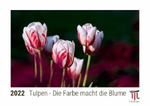 Tulpen - Die Farbe macht die Blume 2022 - Timokrates Kalender, Tischkalender, Bildkalender - DIN A5 (21 x 15 cm)