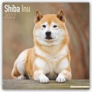 Shiba Inu 2023 - 16-Monatskalender