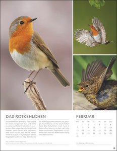 Vögel in unseren Gärten Posterkalender 2022