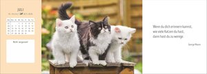 Katzen Premium-Tischplaner 2026 - Der literarische Wochenkalender mit Zitaten