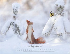 Vadim Trunov: Märchenhaftes Waldleben Posterkalender 2026