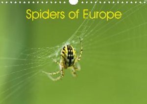 Spiders of Europe