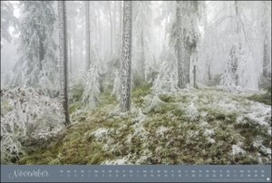 Zauberwälder Edition Kalender 2023. Wandkalender XXL mit Fotos verwunschener Wälder und Lichtungen. Kalender Großformat mit hochwertigen und geheimnisvollen Fotos.
