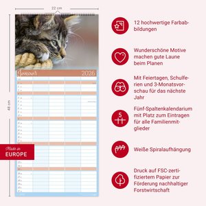 Cool Cats Familienplaner 2026