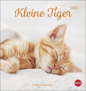 Katzen - Kleine Tiger Postkartenkalender 2023. Entzückende Katzenkinder in einem kleinen Kalender zum Aufhängen oder Aufstellen. Tierischer Postkarten-Fotokalender für Katzenfans.