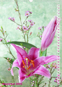 Lilien-Eleganz (Wandkalender 2023 DIN A3 hoch)