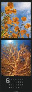 Nature Nature Kalender 2023. Spektakuläre Natur-Fotos in einem länglichen Kalender. Außergewöhnlicher Wandschmuck für Naturfreunde. Wandkalender XXL 2023.