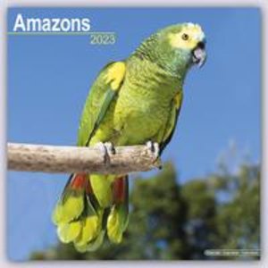 Amazons - Amazonenpapageien 2023 - 16-Monatskalender