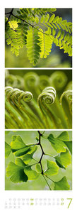 NaturZeit Triplet-Kalender 2025