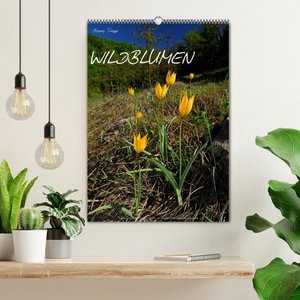 WILDBLUMEN (Wandkalender 2024 DIN A2 hoch), CALVENDO Monatskalender