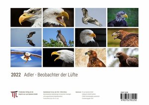 Adler - Beobachter der Lüfte 2022 - White Edition - Timokrates Kalender, Wandkalender, Bildkalender - DIN A4 (ca. 30 x 21 cm)