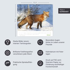 times&more Heimische Tiere Bildkalender 2026