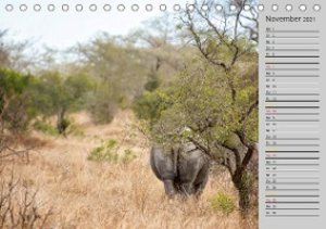 Das Weiße Nashorn (Tischkalender 2021 DIN A5 quer)