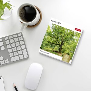Bäume Postkartenkalender 2023. Fotokalender mit 53 Postkarten zum Sammeln und Verschicken. Dekorative Baum-Aufnahmen von bekannten Fotografen. Kleiner Tischkalender 2023.