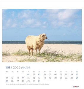 Extra Schaf Postkartenkalender 2026