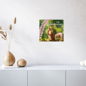 times&more Eichhörnchen Bildkalender 2026