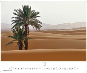 Sahara 2022 S