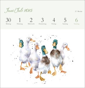 Hannah Dale: Happy Animals Premium-Postkartenkalender 2025