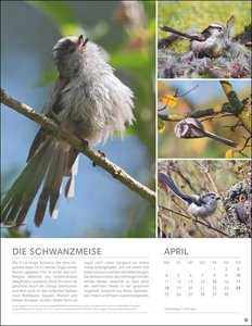 Vögel in unseren Gärten Posterkalender 2022