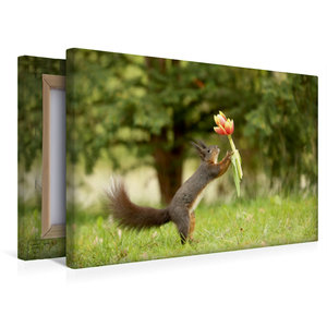 Premium Textil-Leinwand 45 cm x 30 cm quer Eichhörnchen mit Tulpen
