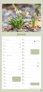 Gartenplaner 2026