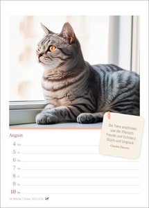 Katzenglück Wochenkalender 2025 - mit Zitaten