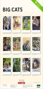 Big Cats Kalender 2026