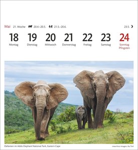 Südafrika & Namibia Sehnsuchtskalender 2026