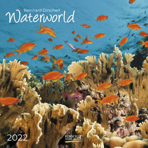 Waterworld 2022