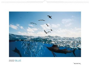 Blue 2022