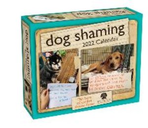 DOG SHAMING 2022 DAY-TO-DAY CA