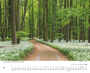 Wege in die Natur 2024 – Wandkalender 52 x 42,5 cm – Spiralbindung