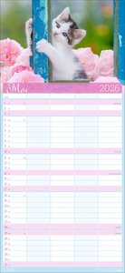 Cool Cats Familienplaner 2026